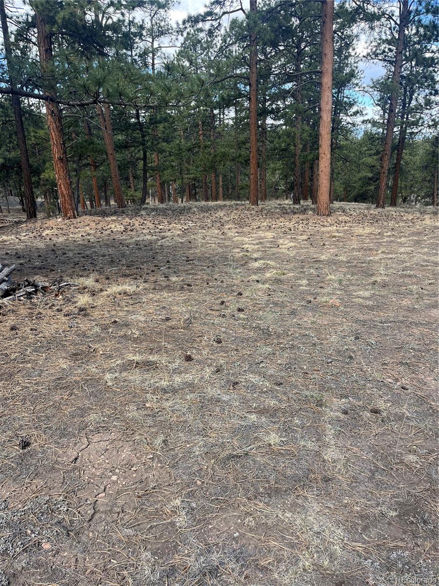 Land in Westcliffe
