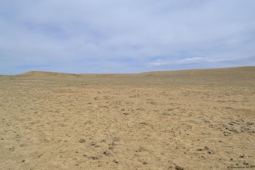 Tr 161 Wild Horse Ranch, Laramie, WY, 82070 | Card Image