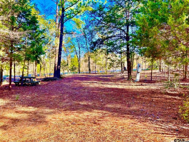 000 Grand View Dr, Home with 0 bedrooms, 0 bathrooms and null parking in Athens TX | Image 5