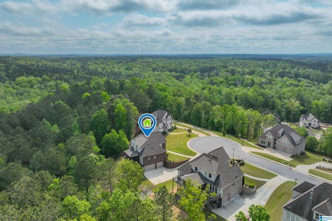 1025 Willow Branch Trl, House other with 4 bedrooms, 5 bathrooms and null parking in CHELSEA AL | Image 64