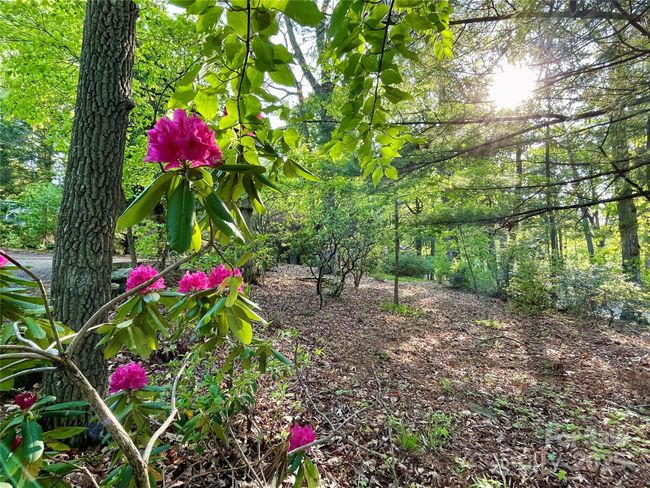 188 Echo Dr, House other with 3 bedrooms, 3 bathrooms and null parking in Laurel Park NC | Image 38