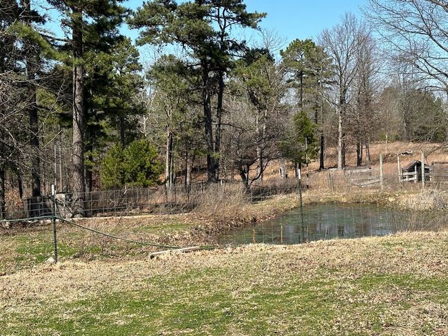 231 Jones Rd, House other with 4 bedrooms, 2 bathrooms and null parking in Yellville AR | Image 20
