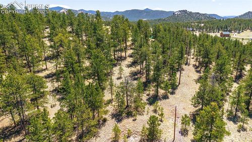 56 Dallas Park Cir, Florissant, CO, 80816-5802 | Card Image