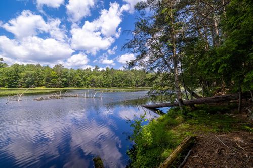 Lot 2 Staehling Rd, Three Lakes, WI, 54562 | Card Image