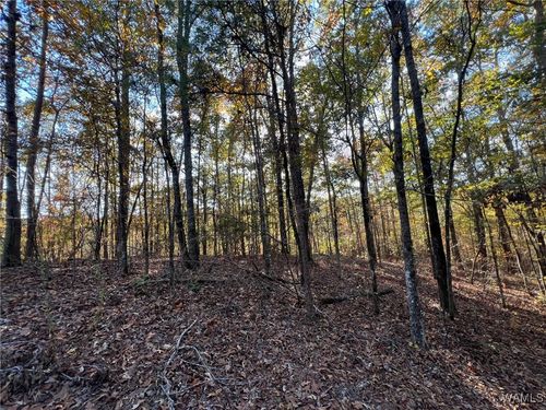 Lot 6 Allison Dr, Mc Calla, AL, 35111 | Card Image