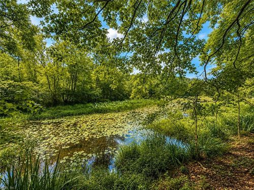 LOT 6 Birdsong Rd, Ebony, VA, 23845 | Card Image