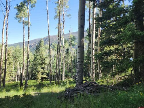 TBD Blk 84 Lots 1-3, Jasper, CO, 81144 | Card Image