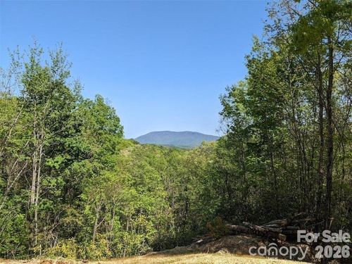 c-30-171 Nuthatch Ln, Black Mountain, NC, 28711 | Card Image