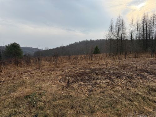 0 County Highway 16, Burlington Flats, NY, 13315 | Card Image