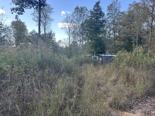 769 Preston Baggett Rd, Cumberland City, TN, 37050-4435 | Card Image