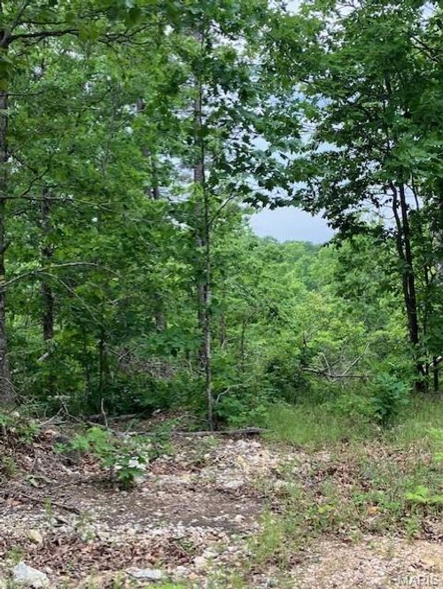 239 Madison Cr 410, Fredericktown, MO, 63645 | Card Image