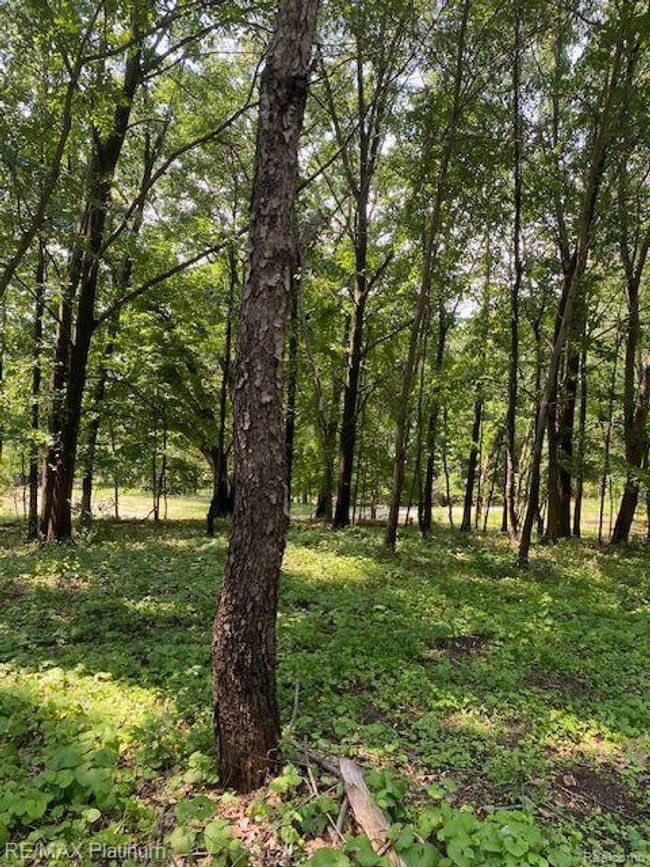 6 Sleaford Parcel 6   2.1 Acres Road, Home with 0 bedrooms, 0 bathrooms and null parking in Howell Township MI | Image 21