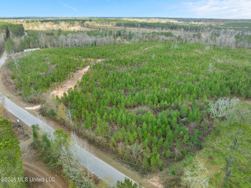 83.50 Acre Guthrie Rd, Moselle, MS, 39459 | Card Image
