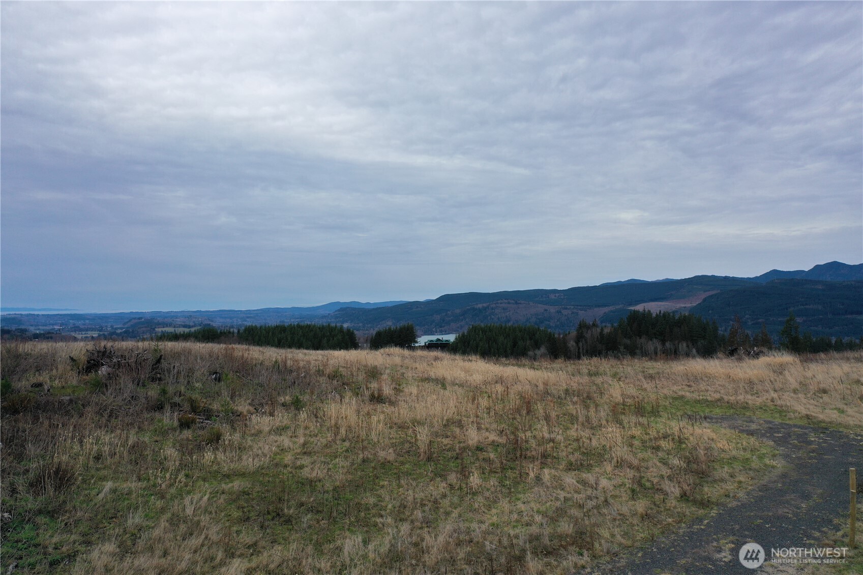 Land in Mossyrock 4