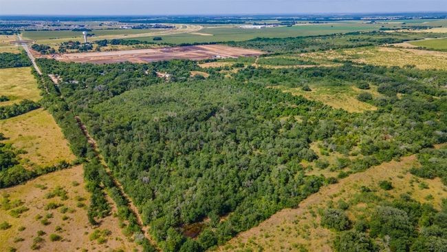 Overview of rural landscape with a forest | Image 10