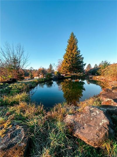 View of water feature | Image 1