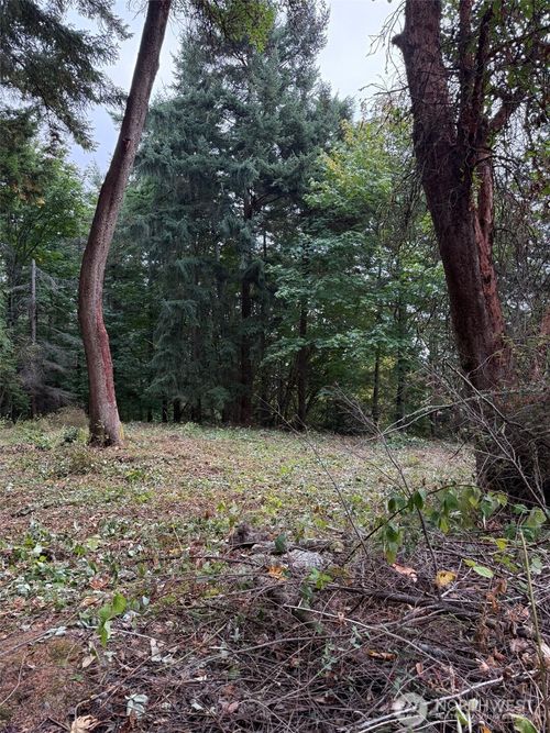 0 nhn Hummingbird Ln, Anacortes, WA, 98221 | Card Image