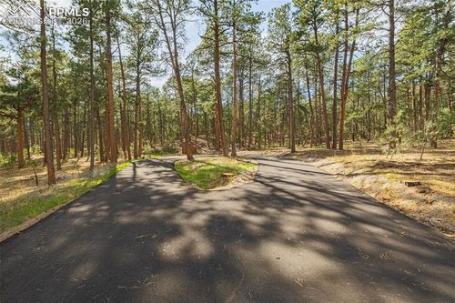 15950 Roller Coaster Rd, Colorado Springs, CO, 80921-1956 | Card Image