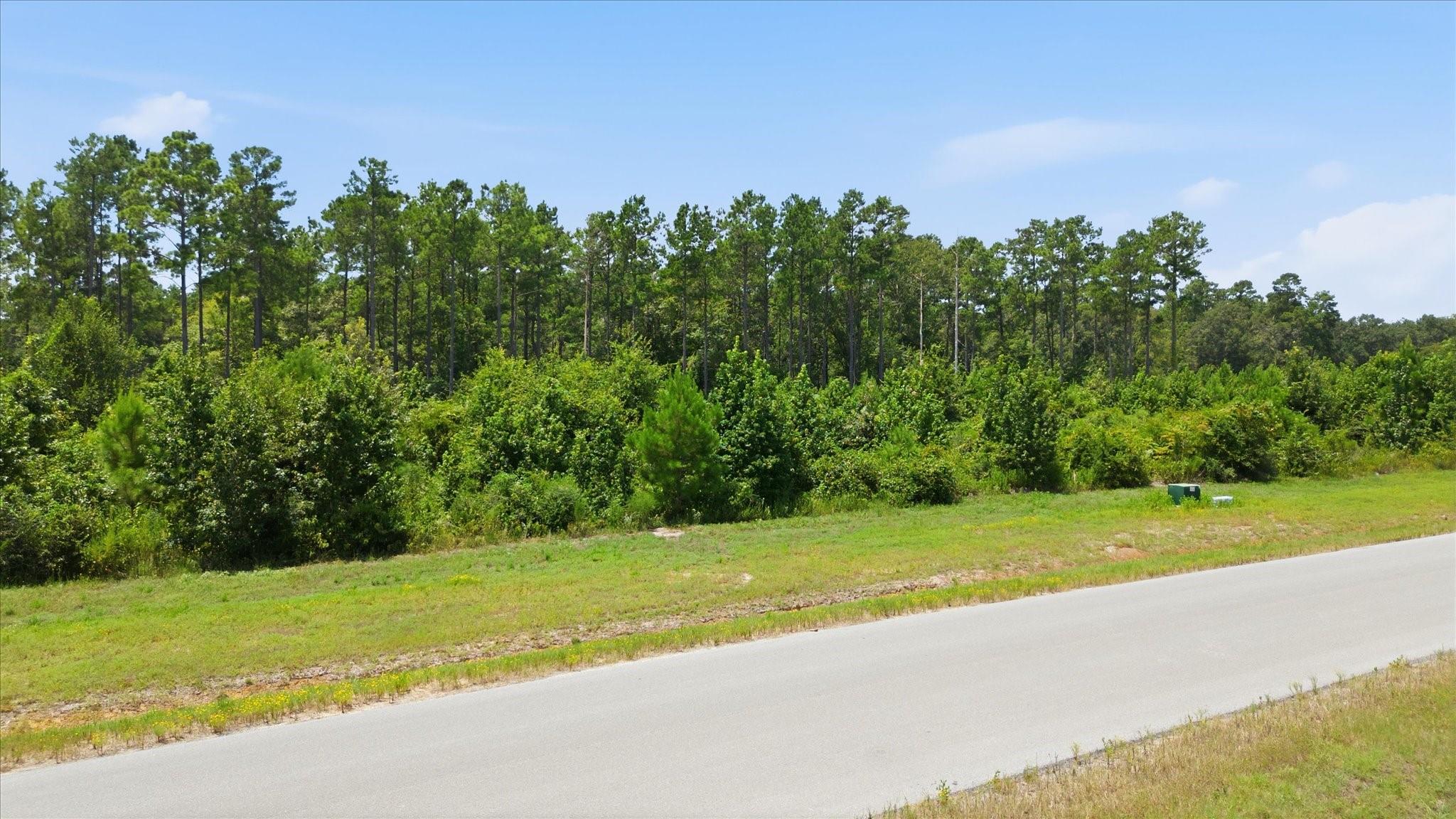 Land in Willis 4