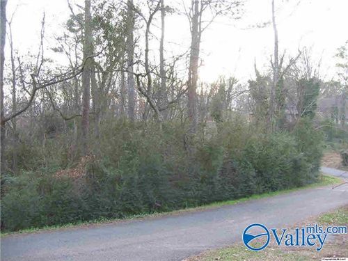 39 Tracy St, Guntersville, AL, 35976 | Card Image