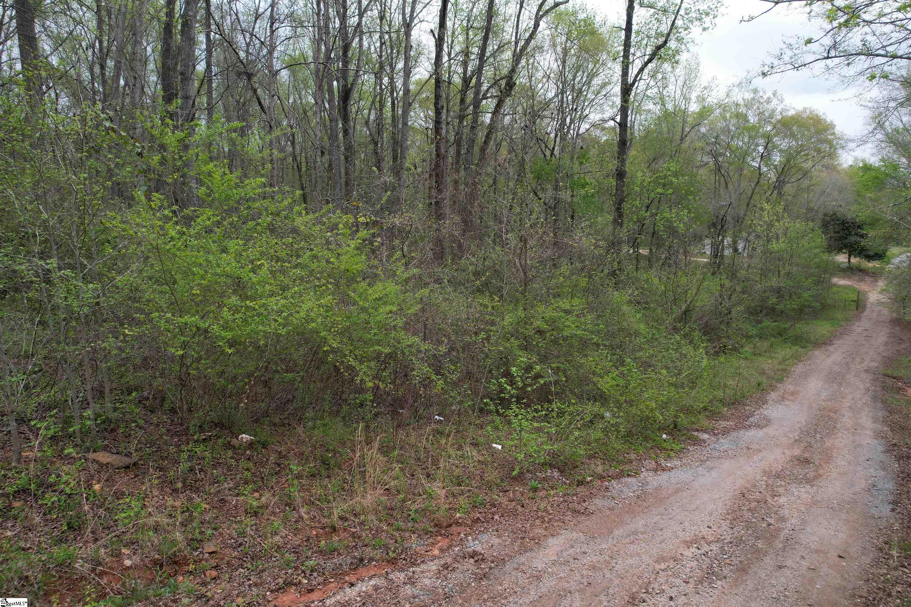 Land in Anderson 5