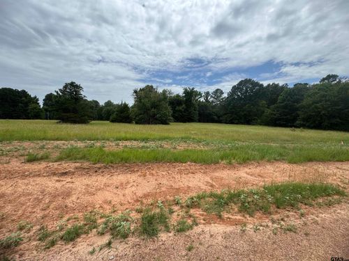 Lot 2 Cottontail Dr, Mt Vernon, TX, 75457 | Card Image