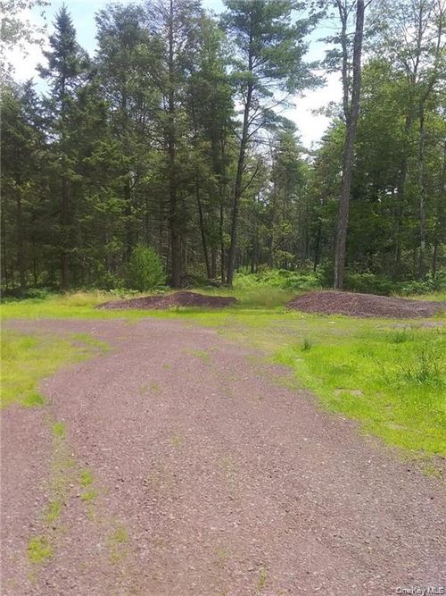 1131 Forestburgh Rd, Glen Spey, NY, 12737-5310 | Card Image