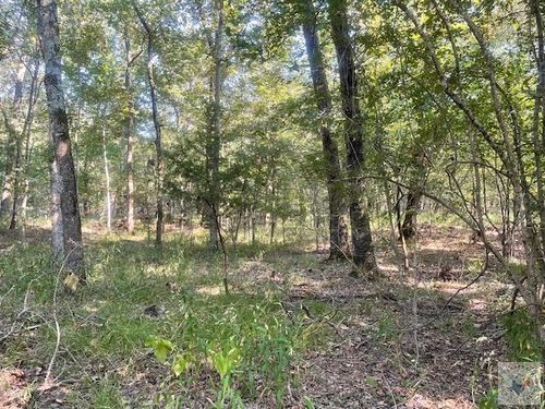 TBD Cr 16150, Deport, TX, 75435 | Card Image