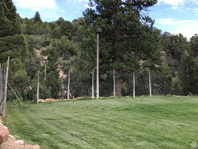 View of yard with a view of trees | Image 17