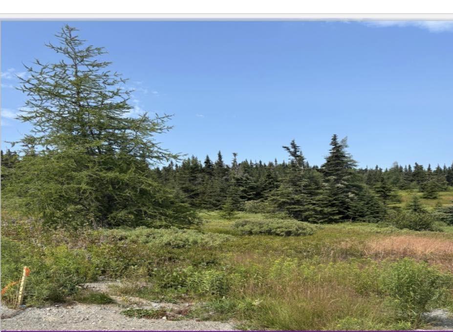 Land in Port Rexton 2