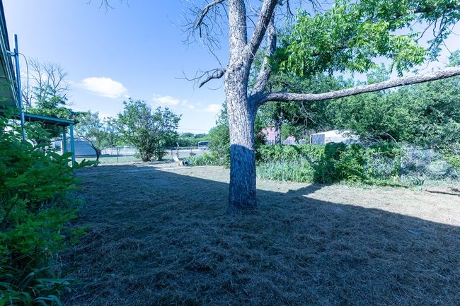 Back Yard | Image 32