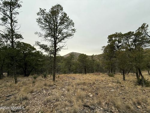 22 Harvest Rd, Timberon, NM, 88350 | Card Image
