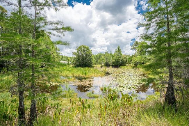 11933 Pasco Trails Blvd, House other with 4 bedrooms, 3 bathrooms and null parking in SPRING HILL FL | Image 39