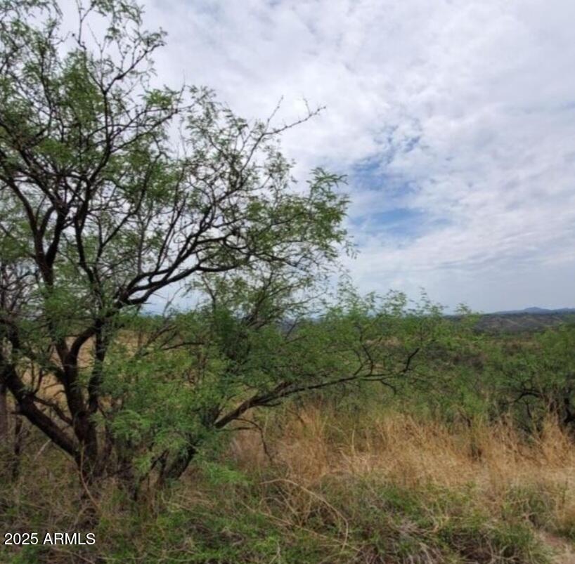 Land in Rio Rico