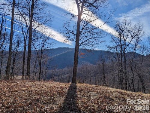 t-85-367 Kestrel Ln, Black Mountain, NC, 28711 | Card Image
