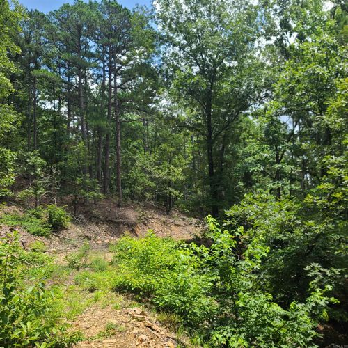 000 Cedarglades Rd, Hot Springs National Park, AR, 71913 | Card Image