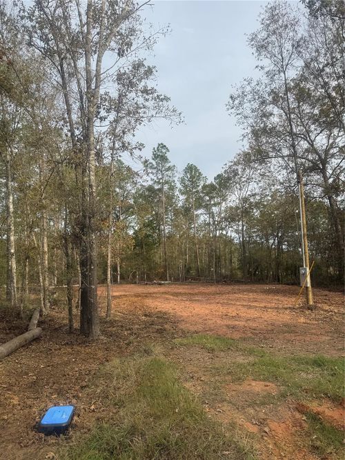 197 Alta Vista Dr, Livingston, TX, 77351-5755 | Card Image