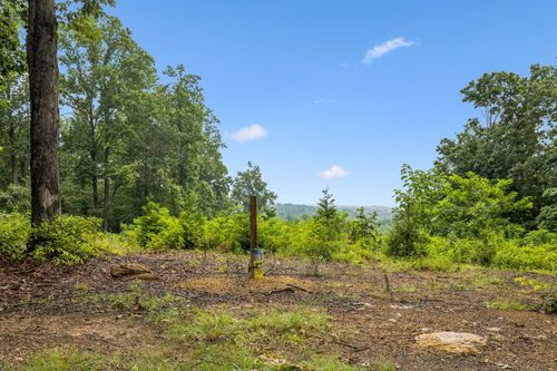 1065 Sioux Trl, Pegram, TN, 37143-2225 | Card Image
