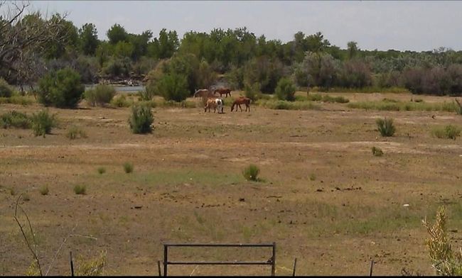 49300 E State Highway 96, House other with 3 bedrooms, 3 bathrooms and 1 parking in Avondale CO | Image 10
