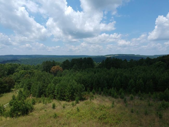 5199 Burkett Chapel Rd, Home with 4 bedrooms, 2 bathrooms and null parking in Whitwell TN | Image 13
