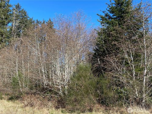 23800 Elm Pl, Ocean Park, WA, 98640 | Card Image