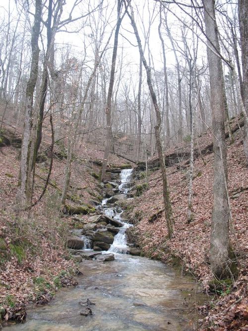 10.85ac Cheyenne Dr, Jamestown, TN, 38556 | Card Image