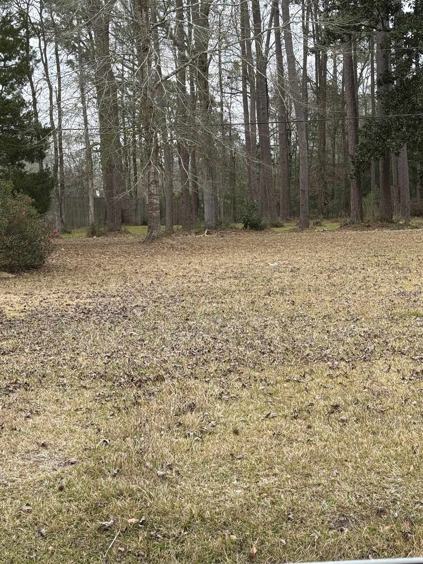 Land in Lumberton 3