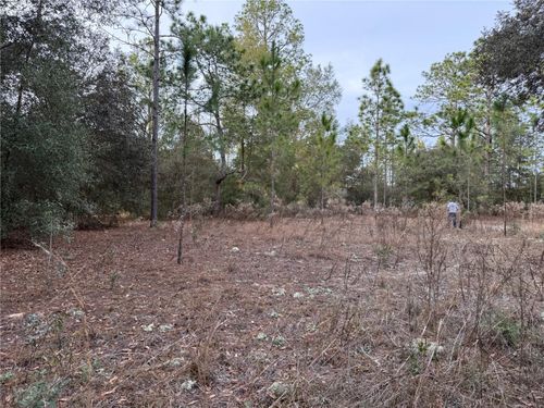 TBD Se Audubon Avenue, Dunnellon, FL, 34431 | Card Image