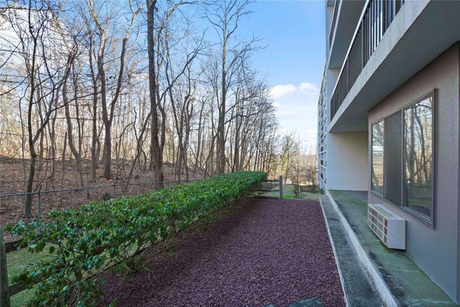 View of yard | Image 25