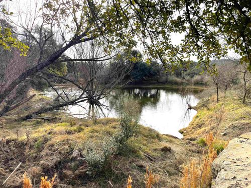 TBD Cr 226, Cherokee, TX, 76832 | Card Image