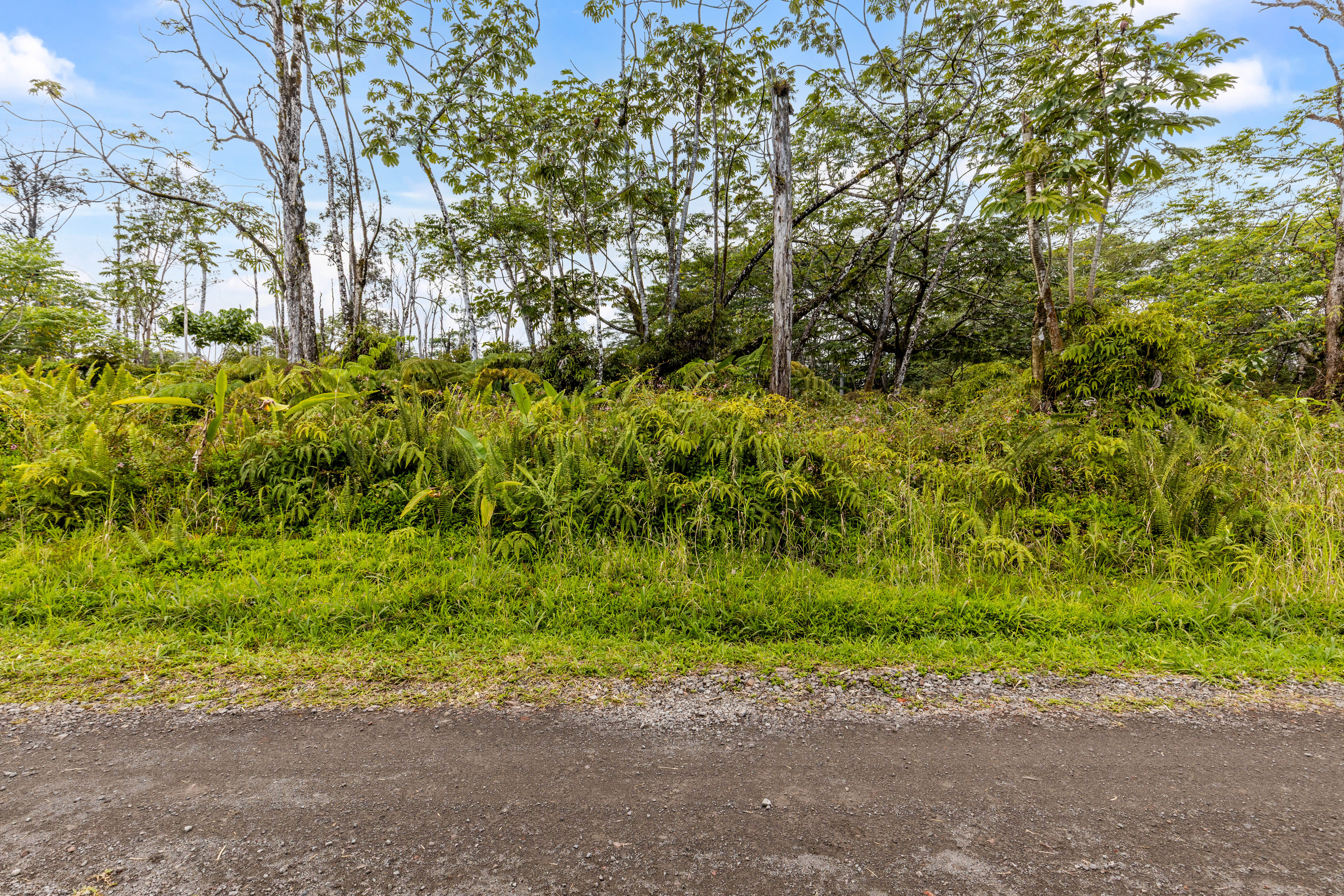 Land in Kurtistown 4