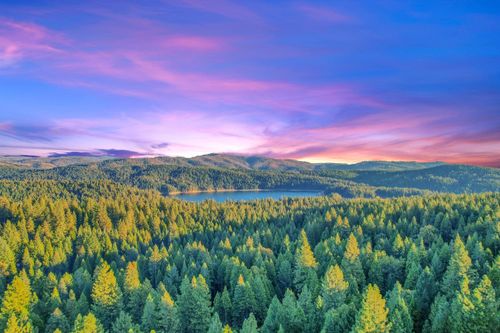 4440 Sly Park Rd, Pollock Pines, CA, 95726-9063 | Card Image