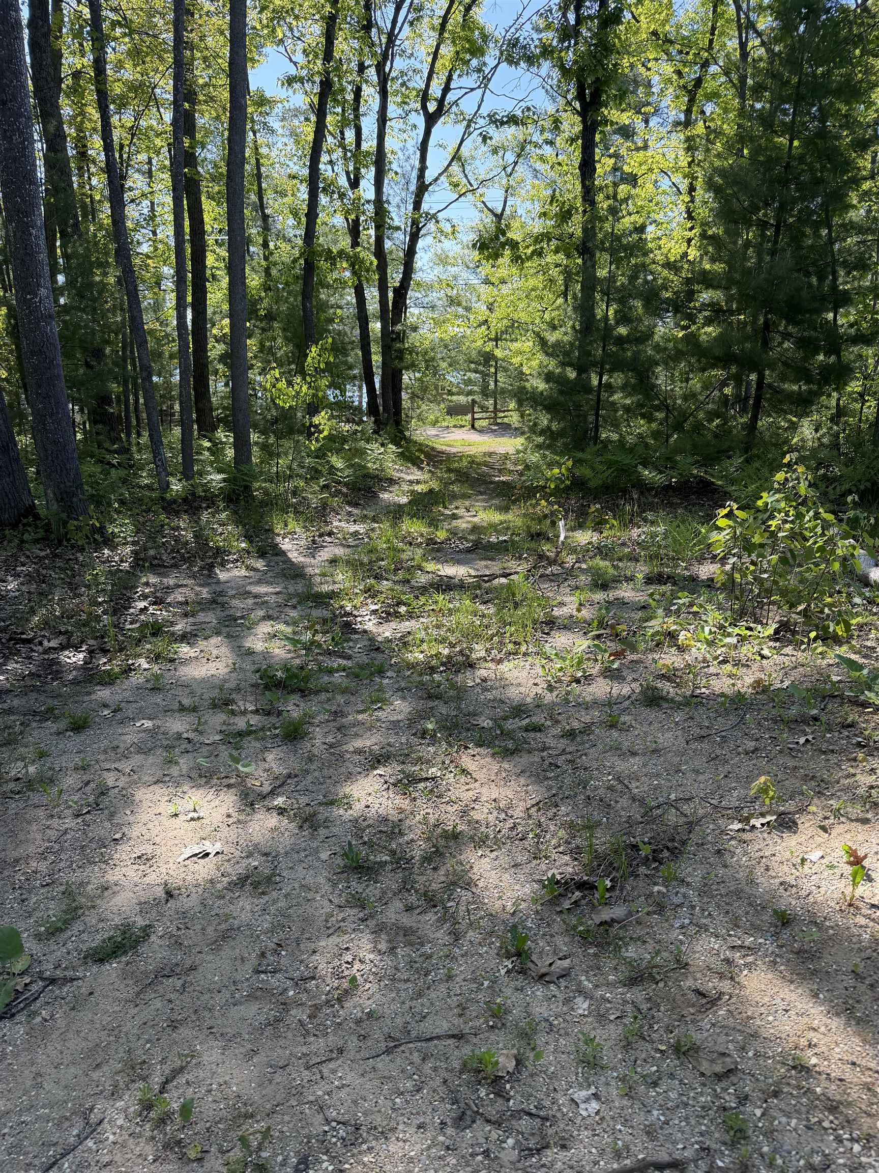 Land in Charlton Township 5