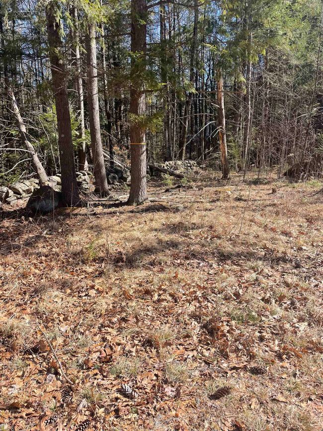 63 New Boston Rd, Home with 0 bedrooms, 0 bathrooms and null parking in Francestown NH | Image 21
